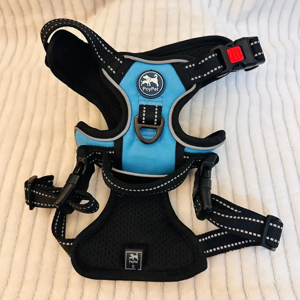 PoyPet Dog Harness No Pull Reflective Adjustable No Choke in Blue Small